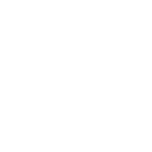 Capitão Gaivota